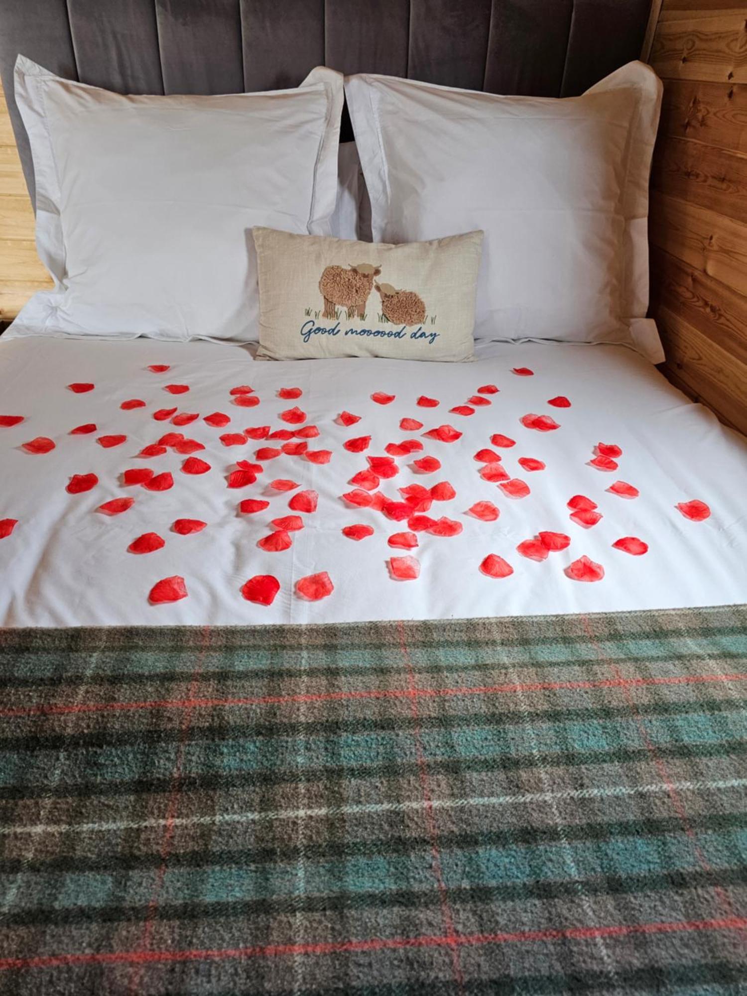 Dunbeath Coastal Retreat Villa Luaran gambar